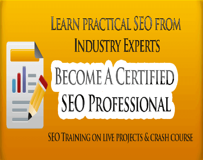 SMM Training in Chandigarh