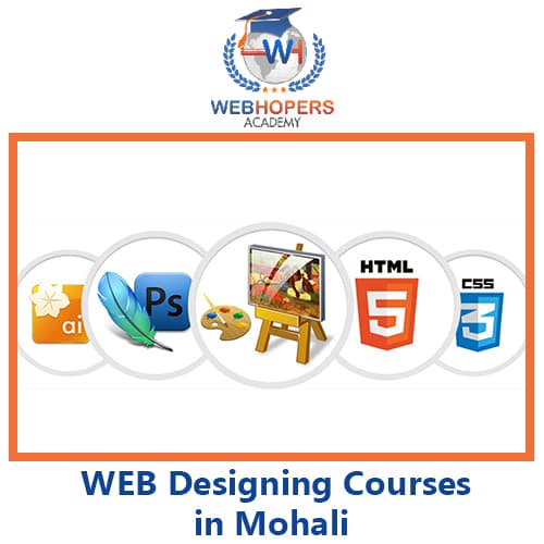 Web Designing Course in Mohali