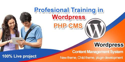 WordPress Training Online