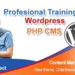 WordPress Training Online