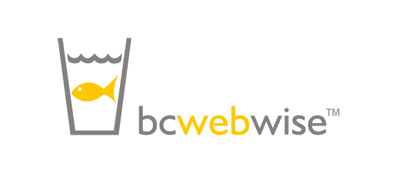 BCWebWise - India's best Social Media Marketing Company