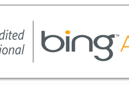 Bing Ads Training In Chandigarh