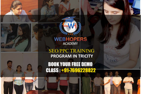 SEO Training in Punjab