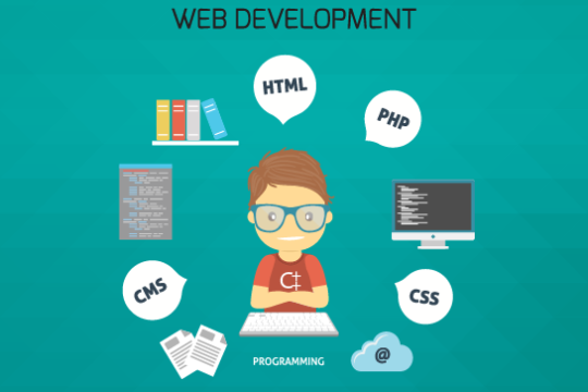 Web Development Course in Panchkula